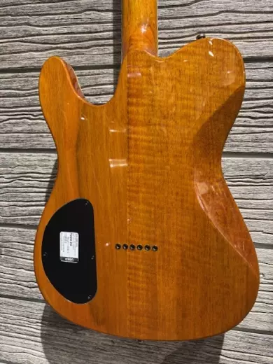 Store Special Product - FENDER SE CUSTOM TELE